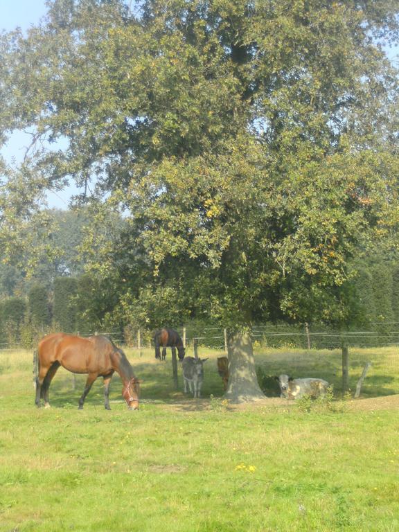 Farm Stay Luythoeve Meeuwen Zewnętrze zdjęcie