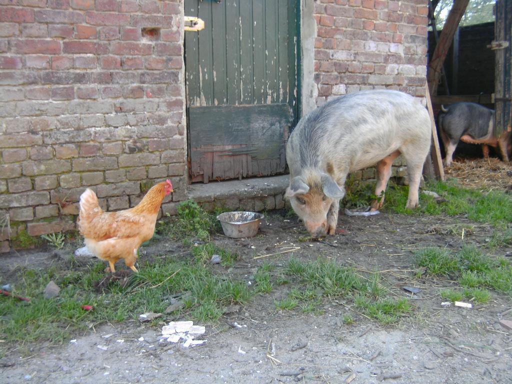 Farm Stay Luythoeve Meeuwen Zewnętrze zdjęcie